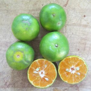 Green orange Tangerine